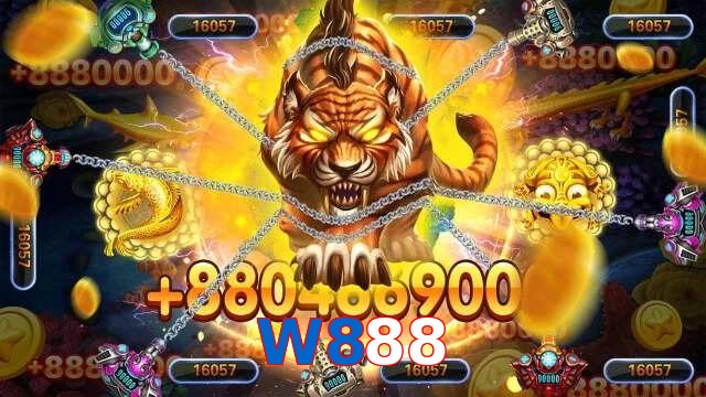W888