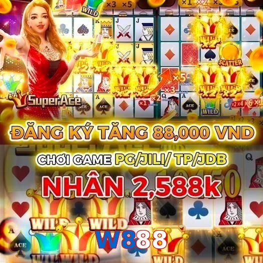 W888